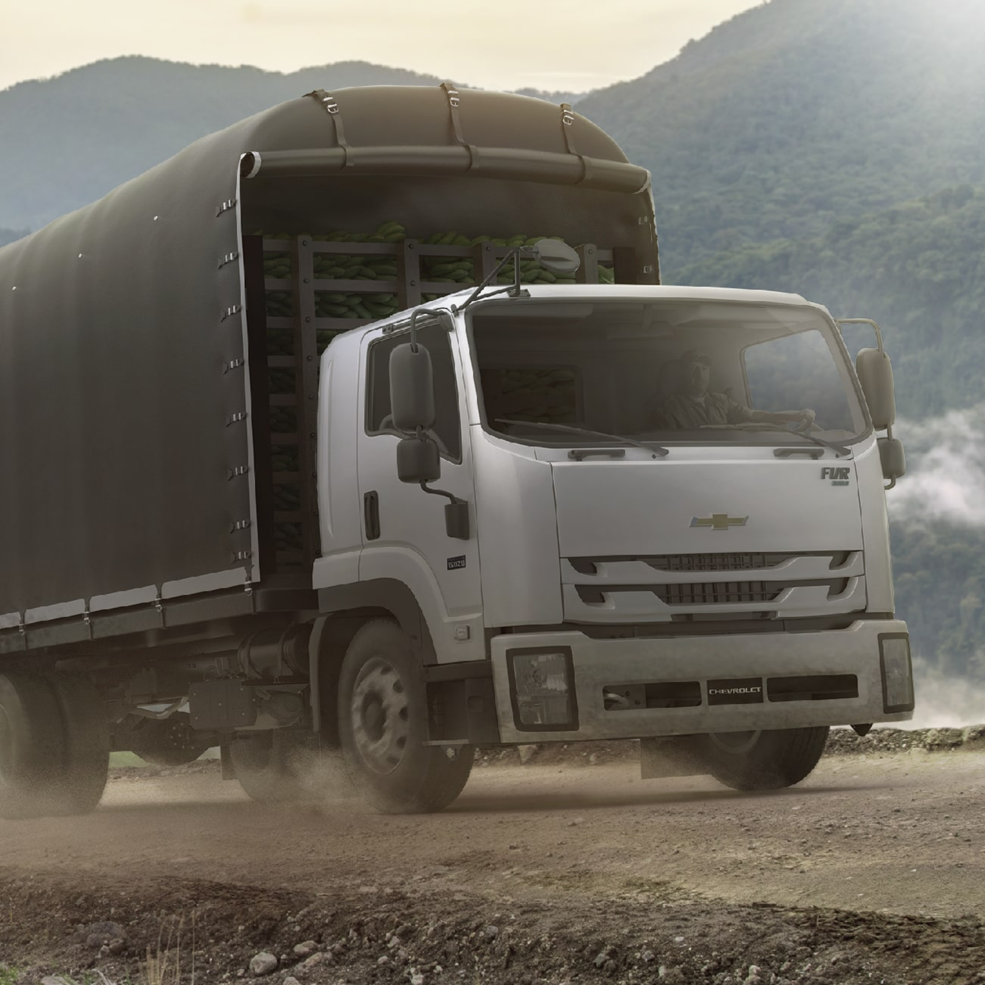 SERVICIO DE TRANSPORTE